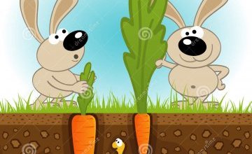 Ogólnopolski projekt Zdrowo jem, więcej wiem - piramida zdrowego żywienia.