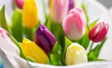 Życzenia dla każdego Taty