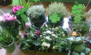 Zielony kącik 6. latków