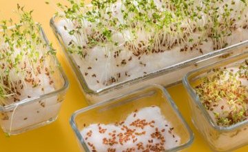 Wiosna w grupie 5. latków