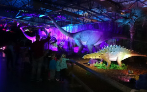 Dinozaury na żywo - wystawa interaktywna, zdjęcie 4