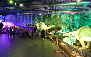 Dinozaury na żywo - wystawa interaktywna, zdjęcie 6