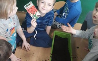 dzieci przy skrzynce wypełnionej ziemią, chłopiec pokazuje torebkę z nasionami pomidorków