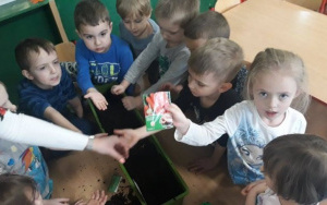 dzieci wysiewają nasiona do skrzynki wypełnionej ziemią
