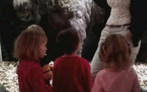 dzieci stoją przed gablotąoglądają atrapę żubra