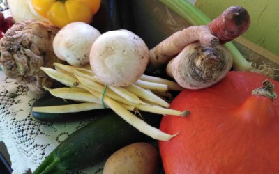 Warzywa w kąciku przyrody: dynie, żółta papryka, pietruszki, marchewka, ziemniaki, żółta fasola, cukinie
