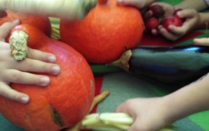 na stole kolorowe warzywa - marchewki, dynie, papryka, ogórki - i sięgające po nie dzieięce rączki 