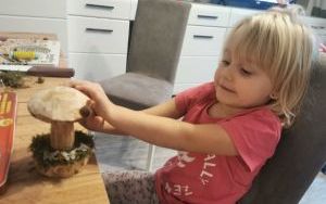 Dziewczynka przykleja kropki z orzechów do kapelusza drewnianego grzyba