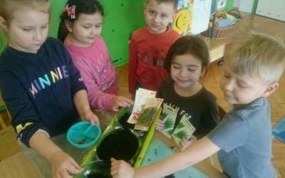 grupka dzieci wysiewa nasiona szczypiorku do doniczek z ziemią