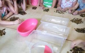dzieci przy stolikach segregują monety po zbiórce (1)