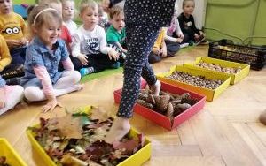 przedszkolaki przechodzą trasę sensoryczną wykonaną z darów jesieni oraz tworzą z nich jesienne mandale (9)