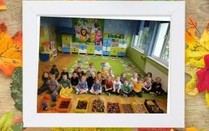 przedszkolaki przechodzą trasę sensoryczną wykonaną z darów jesieni oraz tworzą z nich jesienne mandale (2)