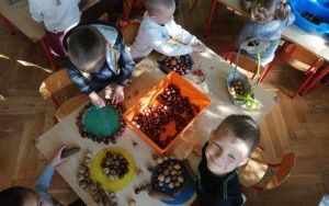 przedszkolaki przechodzą trasę sensoryczną wykonaną z darów jesieni oraz tworzą z nich jesienne mandale (3)