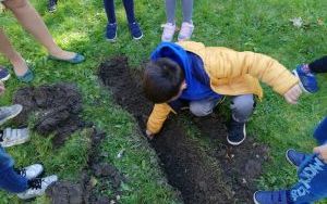 dziei z grupy starszaków sadzą cebulki żonkili w przedszkolnym ogrodzie (2)