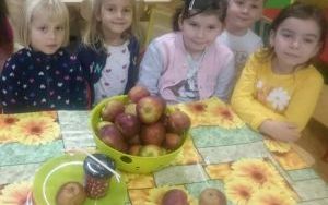 Dzieci z grupy 6. latków A robią sok jabłkowy ze świeżych jabłek (3)