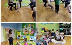 Fotorelacja z przebiegu spotkania z wolontariuszkami sosnowieckiego schroniska dla zwierząt (2)