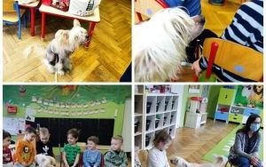 Fotorelacja z przebiegu spotkania z wolontariuszkami sosnowieckiego schroniska dla zwierząt (3)