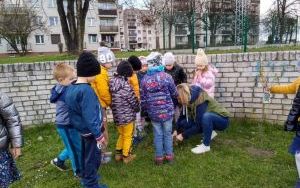Dzieci pomagają  w sadzeniu krzewów porzeczek w ogrodzie przedszkolnym (4)
