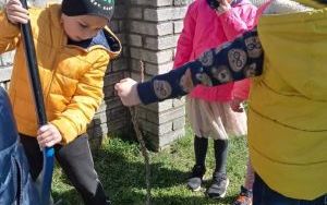 Dzieci pomagają  w sadzeniu krzewów porzeczek w ogrodzie przedszkolnym (8)