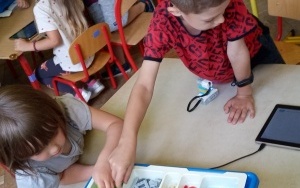 przedszkolaki w trakcie zajęć z robotyki - budują z klocków lego ślimaka Tofika raz wiatrak i wprawiają go w ruch. (8)