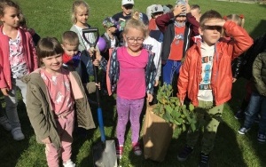 Dzieci podczas sadzenia drzew na placu przedszkolnym. (1)