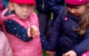 dziewczynki trzymają cebulki żonkili