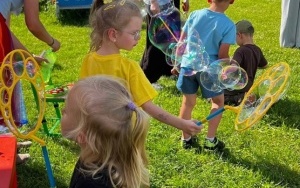 Piknik 2-