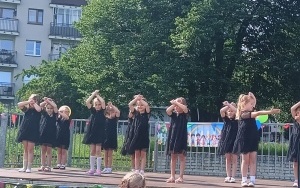 Piknik 54