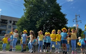 Piknik 6