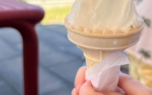 Wyjście na lody  2