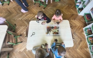 Pani Szkiełko 11