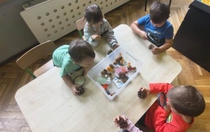 Pani Szkiełko 12