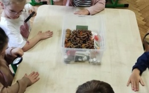 Pani Szkiełko 14