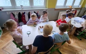 Pani Szkiełko 3