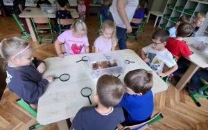 Pani Szkiełko 5