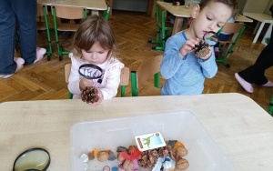 Pani Szkiełko 6